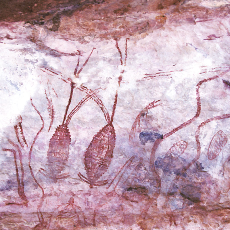 Thumbnail Image 1